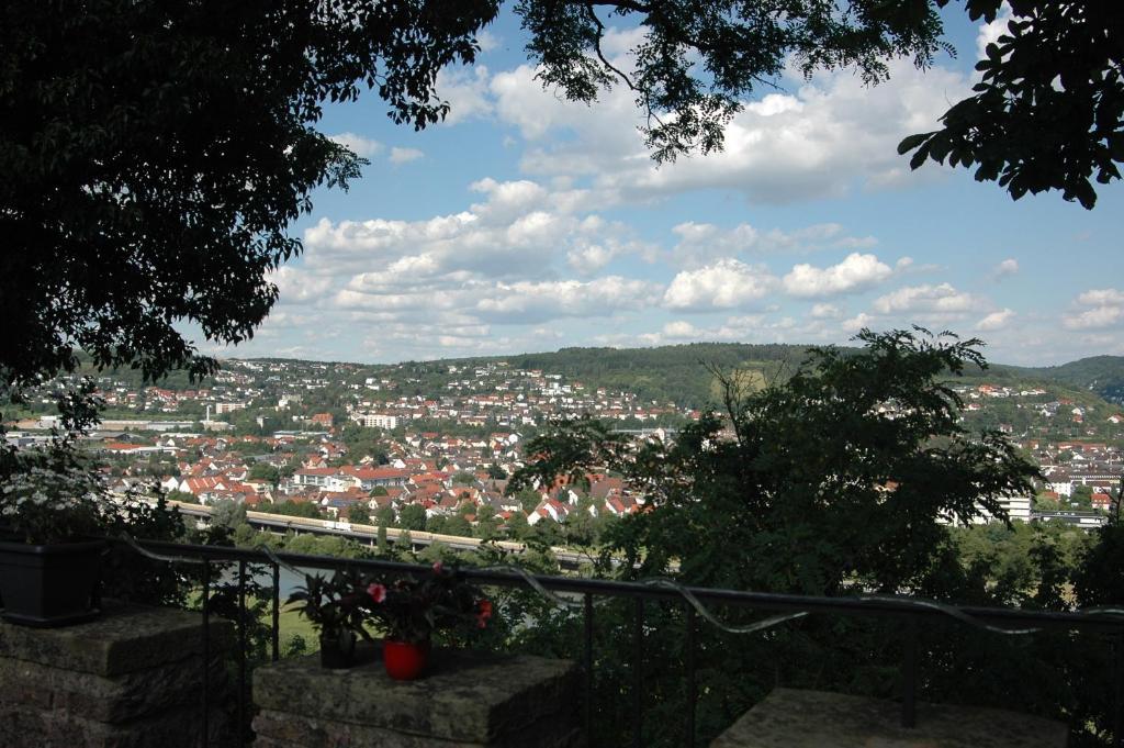 Schloss Neuburg Hotel Mosbach  Esterno foto